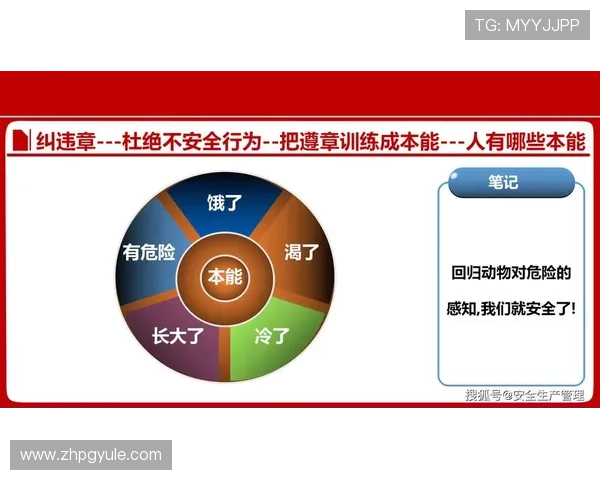 PG电子网赌平台最新安全指南帮助玩家规避风险实现稳定盈利